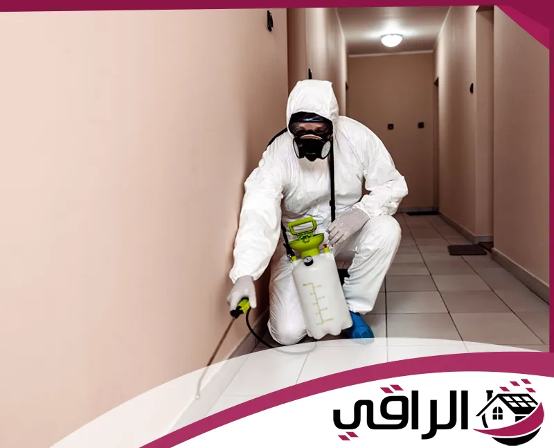 شركة مكافحة حشرات في دبي
