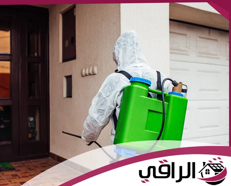 شركة مكافحة حشرات في الشارقة