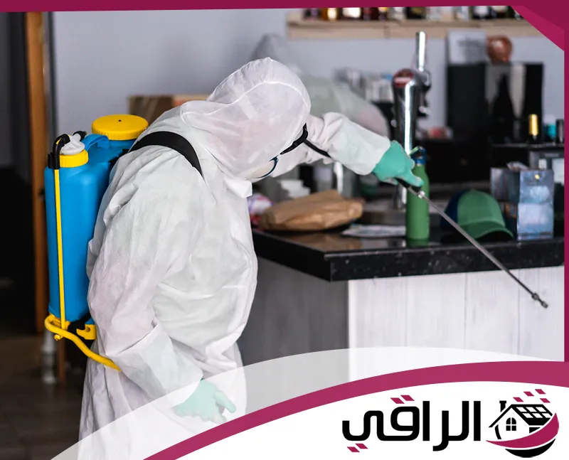 شركة مكافحة حشرات في راس الخيمة