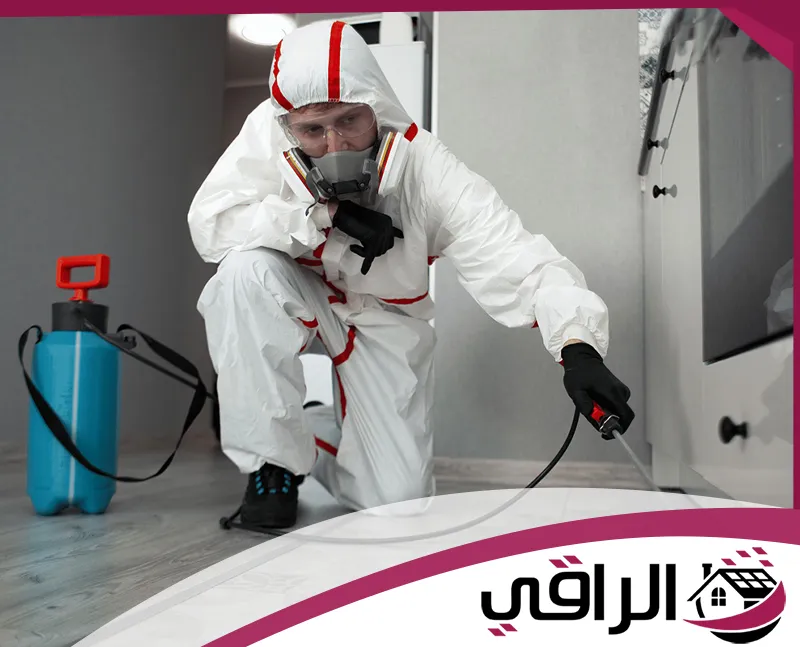 شركة مكافحة حشرات في الفجيرة