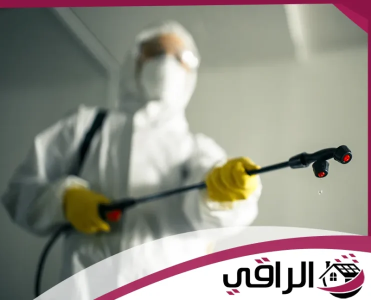 شركة مكافحة حشرات في عجمان