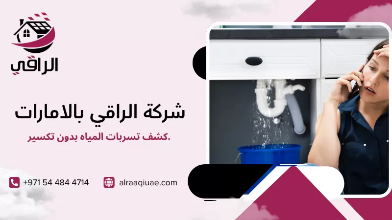 كشف تسربات المياه بدون تكسير