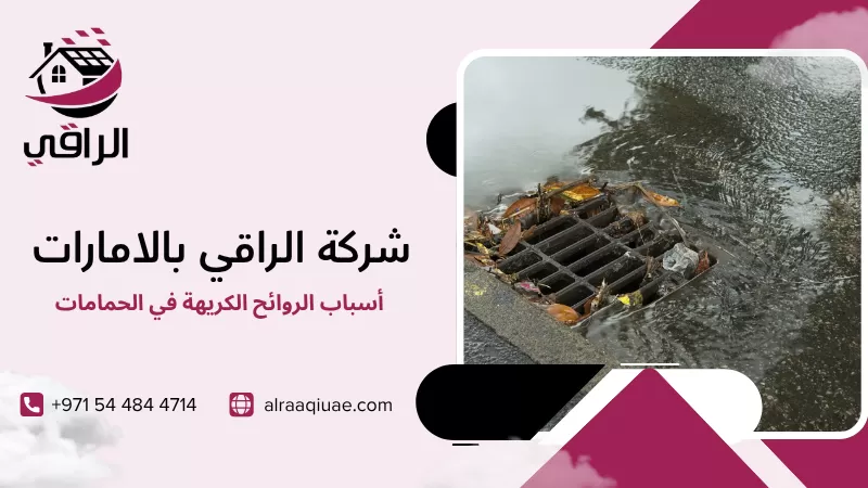 أسباب الروائح الكريهة في الحمامات
