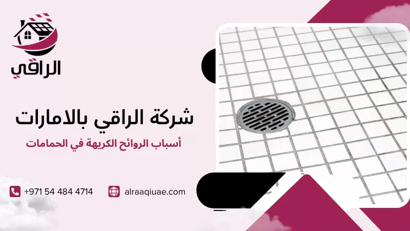 أسباب الروائح الكريهة في الحمامات