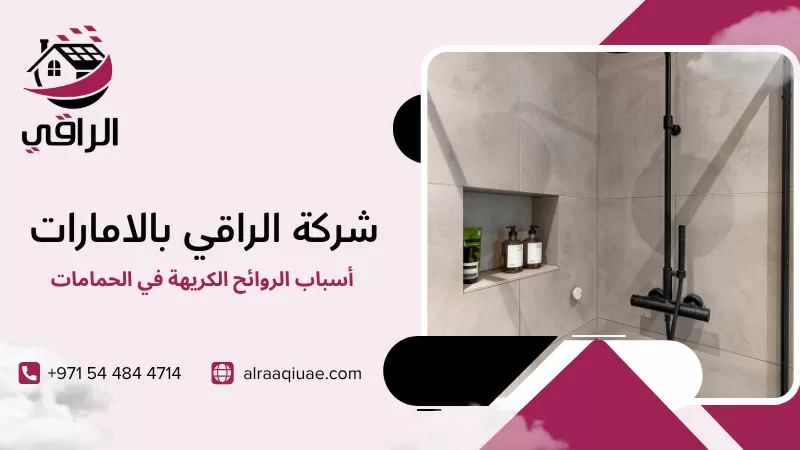 أسباب الروائح الكريهة في الحمامات