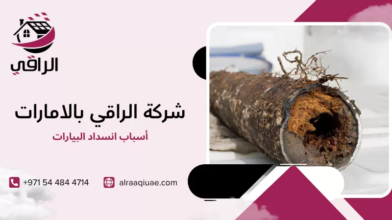 أسباب انسداد البيارات