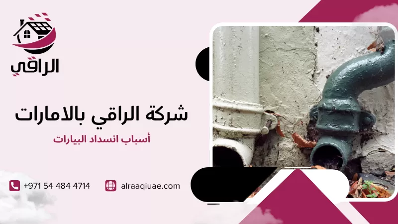 أسباب انسداد البيارات