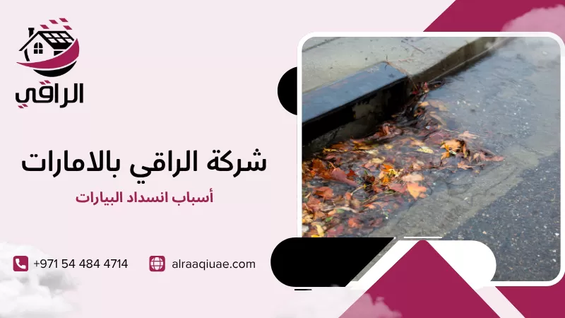 أسباب انسداد البيارات