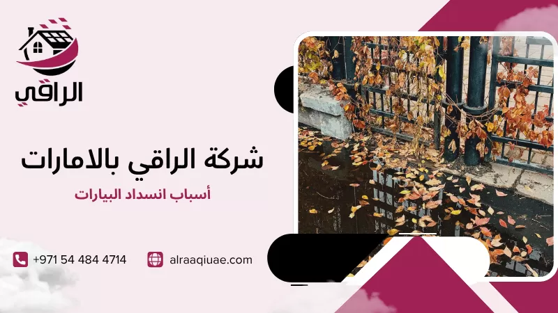 أسباب انسداد البيارات