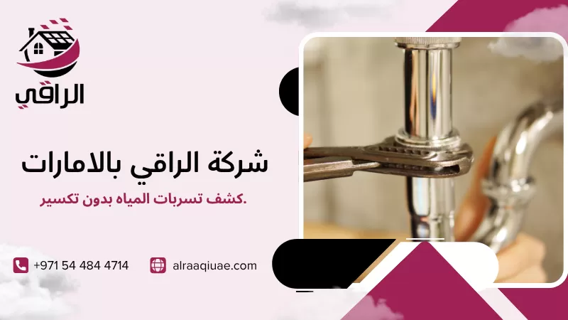 كشف تسربات المياه بدون تكسير