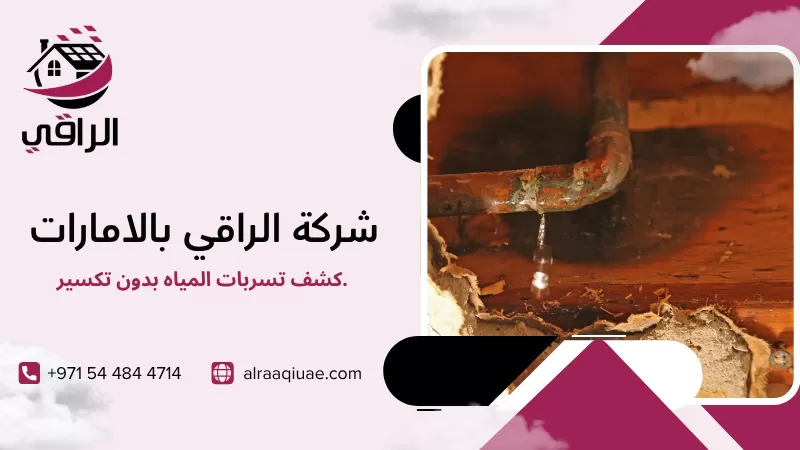 كشف تسربات المياه بدون تكسير