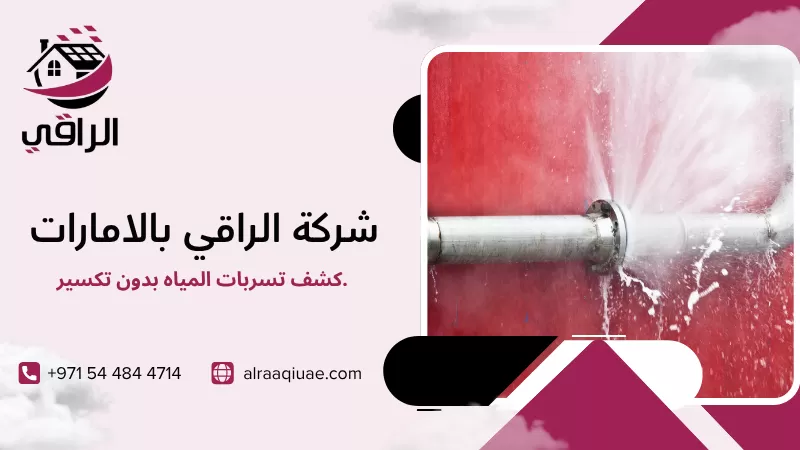 كشف تسربات المياه بدون تكسير