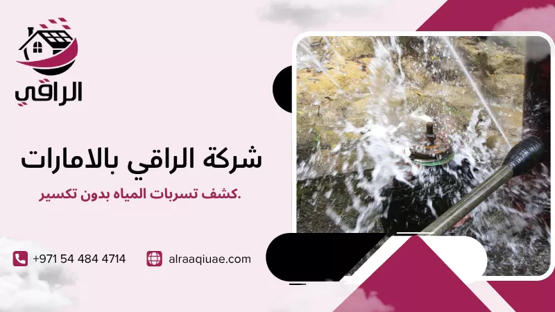 كشف تسربات المياه بدون تكسير