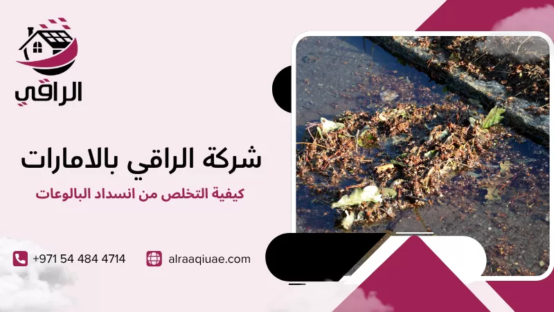 كيفية التخلص من انسداد البالوعات